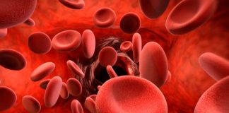 Alimente care Subțiază Sângele și Reduc Riscul de TROMBOZĂ
