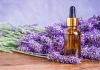 LAVANDA – o planta foarte utilizata in aromaterapie, cosmetica si medicina naturista (proprietati, beneficii, mod de utilizare)