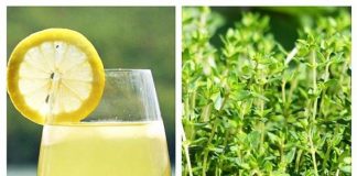 Limonadă de CIMBRU – combate bacteriile și îmbătrânirea celulelor corpului