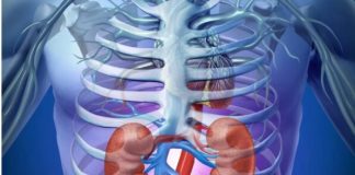 10 Semne că Rinichii tăi Nu Funcționează Corect