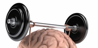 CREIERUL trebuie îngrijit pentru a nu se degrada. Acestea sunt cele mai bune alimente ce îți mențin creierul sănătos.