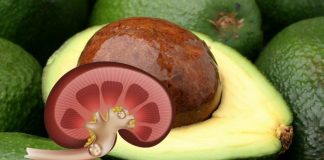 Un singur sâmbure elimină toate pietrele de la rinichi! Iată cum se prepară remediul și cum se administrează!