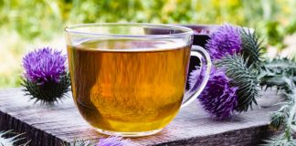 Beneficiile ceaiului de armurariu (ciulin de lapte), planta care face minuni pentru sănătatea și silueta ta!