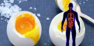 Mănâncă 2 ouă în fiecare zi! – Iată 8 schimbări benefice care apar în organism.