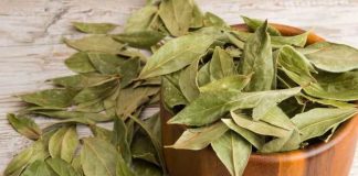 Cinci boli pe care le puteți trata cu frunze de dafin.