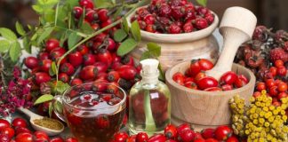 Măceșele – beneficii extraordinare pentru sănătate! Țin departe bolile de ficat, colesterolul ridicat sau oboseala.