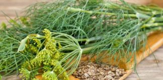 MĂRARUL – stimulează digestia, întărește oasele, combate depresia, te scapă de kilogramele în plus!