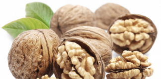 Nucile, mai sănătoase decât uleiul de măsline, ne pot salva viața – Împiedică îngroşarea arterelor, previn bolile de inimă şi cancerul – Consumă-le în fiecare zi!