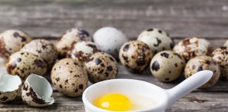 Ouă de prepeliță cu lămâie și miere – tratament pentru multe boli!