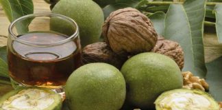 4 Rețete Vindecătoare cu NUCI – pentru boli de stomac, pancreas, cancer și viermi intestinali!