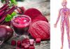 Sfecla roșie, o legumă cât 1000 de medicamente! – Îți vindecă întregul organism!