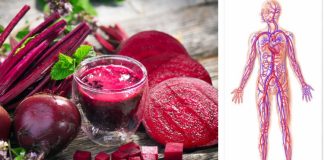 Sfecla roșie, o legumă cât 1000 de medicamente! – Îți vindecă întregul organism!