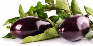 Vinetele, un adevărat izvor de sănătate.Țin la distanță multe boli!