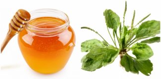 Sirop de pătlagină fără zahăr – rețetă pentru bolile plămânilor