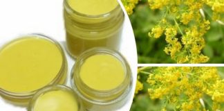 Alifie de SÂNZIENE pentru calmarea durerilor de COLOANĂ și dizolvarea CIOCURILOR osoase. Iată cum se prepară!