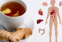 Ceaiul de ghimbir – ajută în prevenirea formării cheagurilor de sânge pe artere, în combaterea indigestiei, a migrenelor şi a răcelilor de sezon. Cum se prepară corect!