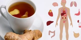Ceaiul de ghimbir – ajută în prevenirea formării cheagurilor de sânge pe artere, în combaterea indigestiei, a migrenelor şi a răcelilor de sezon. Cum se prepară corect!