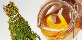 Cimbru cu miere – antibiotic natural (preparare și administrare)
