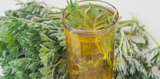 Pelinul curăță ficatul și tubul digestiv de toxine, redă vigoarea întregului organism!