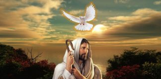 Să-L chemăm pe Duhul Sfânt în Casa Noastră cu Psalmul 22. În momentul în care citești Psalmi, Duhul Sfânt vine.