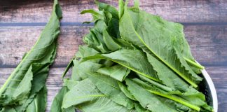 ȘTEVIA tratează boli precum Diabetul și Osteoporoza, însă lumea o dă la porci