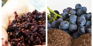 Cu doar 3 linguriţe pe zi de TESCOVINĂ putem combate 7 afecţiuni grave de sănătate!