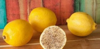 Combinaţia de LĂMÂIE, SARE şi PIPER ne scapă rapid de 5 probleme de sănătate!