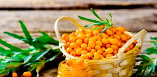 Cătina cu miere este recomandată și de medici. Întărește sistemul imunitar și ține infecțiile și virozele la distanță!