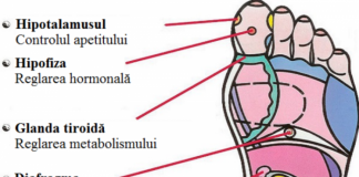 Masajul tălpilor – 6 puncte care vă pot readuce la viaţă în doar câteva minute!