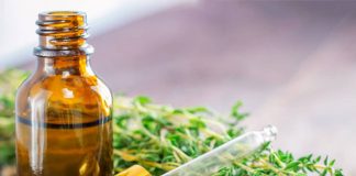 Uleiul esențial de Cimbru ucide pana la 97% din celulele canceroase!