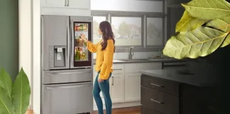 Pune frunze de dafin în frigider. Iată de ce trebuie să o faci!