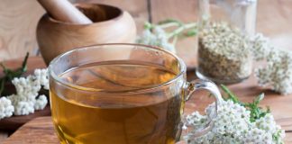 O cură de 2 săptămâni cu COADA – ŞORICELULUI curăţă sângele şi ficatul de TOXINE!