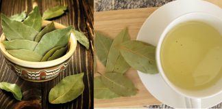 Cura de 10 zile cu Ceai din frunze de DAFIN pentru Scăderea GLICEMIEI!