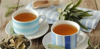 Cartilajul genunchiului și șoldului poate fi reparat folosind un amestec de 4 ierburi!