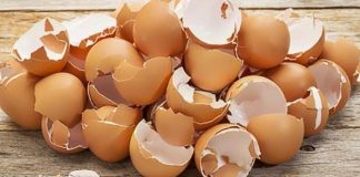 Cojile de Ouă nu se aruncă!