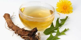 Decoctul de Rădăcină de Păpădie Elimină Toxinele Din Organism!