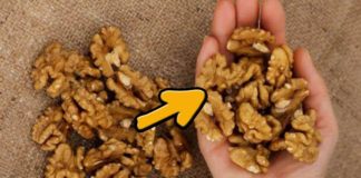 Ce se întâmplă la 4 ore după ce ai mâncat o mână de nuci? Iata răspunsul medicilor!