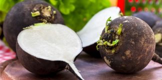 Leacul bătrânesc cu Ridichea Neagră – te scapă de tuse și vindecă infecțiile din gât!