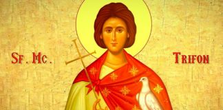 Citește azi Rugăciunea către Sfântul Trifon, grabnic ajutător și tămăduitor. Vindecă orice boală şi alungă duhurile necurate!