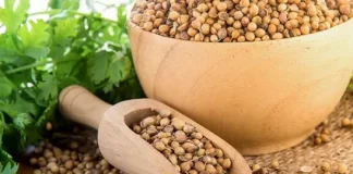 Semințele de coriandru sunt benefice pentru glanda tiroidă – efectele se văd după doar 8 zile!