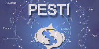 Peștii sunt cei mai sufletiști nativi din întregul Zodiac. Cei născuți sub acest semn zodiacal merită tot respectul!