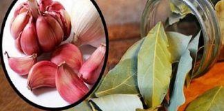 Pune 7 foi de dafin și 7 căței de usturoi într-o sticlă și vezi ce se va întâmpla în maxim o săptămână!