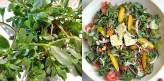 Buruiana „minune” pe care noi o aruncăm este folosită de străini în salate și medicamente. Iată 5 proprietăți miraculoase!