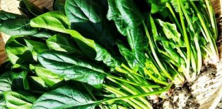 SPANACUL – „Mătura” Stomacului și a Colonului