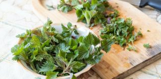 Urzicile sunt excelente în Anemie – Iată cum trebuie consumate, pentru efecte maxime!