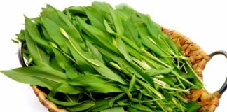 Ceaiul de LEURDĂ potolește Palpitațiile și reglează Ritmul Inimii