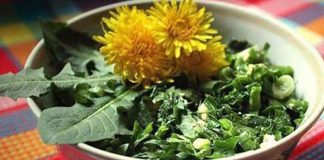 Salata de Păpădie tratează un spectru larg de boli. Iată modul corect de preparare!