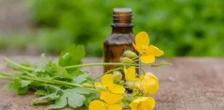 Tinctura de Rostopască pentru nodulii tiroidieni: tiroidita autoimună