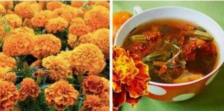 Floarea de crăiță este benefică pentru sănătatea ochilor, articulațiile dureroase și stomac. Poate fi cultivată atât în grădini, cât și în ghivece.