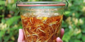 Ştiai că poţi prepara sirop de caprifoi cu multe beneficii pentru sănătate? Află mai multe din acest articol.